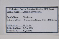 登錄號:S120442藏品圖，第2張