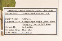 山牛旁藏品圖，第2張