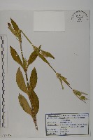 登錄號:S120476藏品圖，第1張