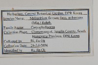 登錄號:S120476藏品圖，第2張