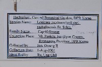 登錄號:S120484藏品圖，第2張