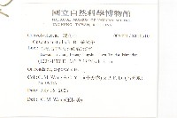 菟絲子藏品圖，第2張