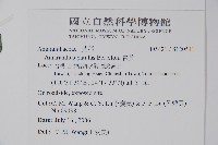 青莧藏品圖，第2張