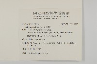 鱧腸藏品圖，第2張