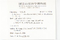 玉山筷子芥藏品圖，第2張