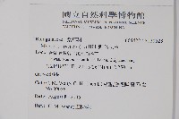 野勿忘草藏品圖，第2張