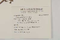 鱧腸藏品圖，第2張