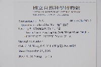 假千日紅藏品圖，第2張