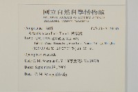 茵蔯蒿藏品圖，第2張