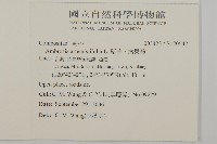 豬草、瘤果菊藏品圖，第2張