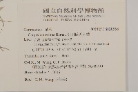 細川氏天名精藏品圖，第2張