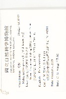 天花藏品圖，第2張