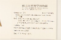 塔山澤蘭藏品圖，第2張