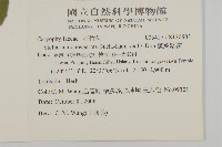 皺葉繁縷藏品圖，第2張