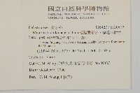 福建賽衛矛、福建假衛矛藏品圖，第2張