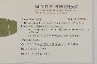 小白花鬼針藏品圖，第2張