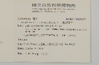 玉山抱莖籟簫藏品圖，第2張