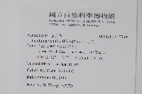 串心花藏品圖，第2張
