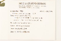 一枝香藏品圖，第2張