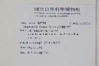 臺灣附地草藏品圖，第2張