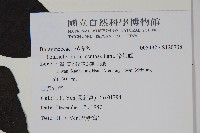 冷飯藤藏品圖，第2張