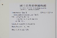 冷飯藤藏品圖，第2張