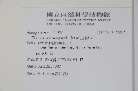 盾果草藏品圖，第2張