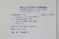 盾果草藏品圖，第2張