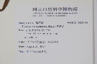 盾果草藏品圖，第2張