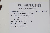 盾果草藏品圖，第2張