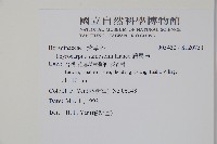 盾果草藏品圖，第2張