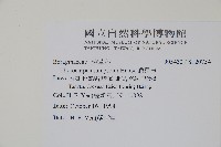 盾果草藏品圖，第2張