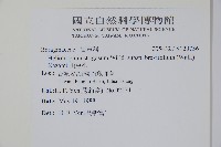 山豆根藏品圖，第2張