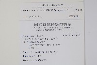 狗尾草藏品圖，第2張