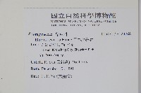 恆春厚殼樹藏品圖，第2張