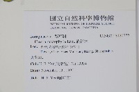 滿福木藏品圖，第2張