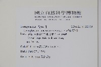 小花倒提壺藏品圖，第2張