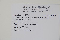 小花倒提壺藏品圖，第2張