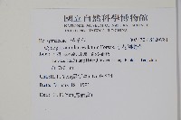 小花倒提壺藏品圖，第2張