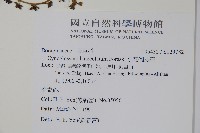 小花倒提壺藏品圖，第2張