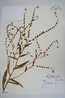 登錄號:S120783藏品圖，第1張