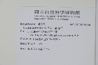 破布子藏品圖，第2張