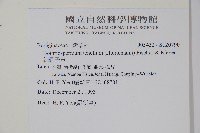 細纍子草藏品圖，第2張