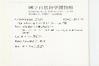 盒果藤藏品圖，第2張