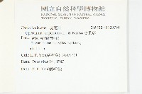 盒果藤藏品圖，第2張