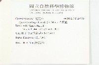 盒果藤藏品圖，第2張