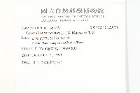 盒果藤藏品圖，第2張