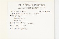 野牽牛藏品圖，第2張