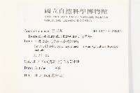 野牽牛藏品圖，第2張