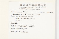 野牽牛藏品圖，第2張